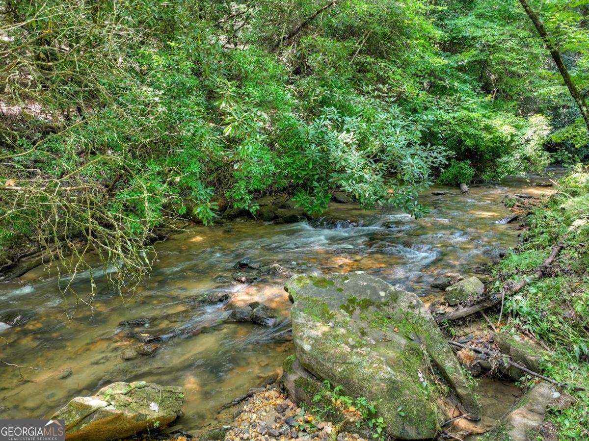20 Bear Trail Ellijay - Photo 6