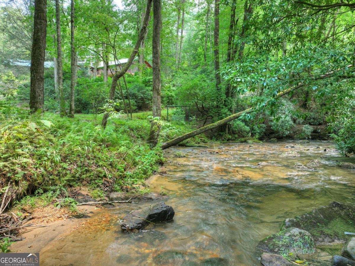 20 Bear Trail Ellijay - Photo 86