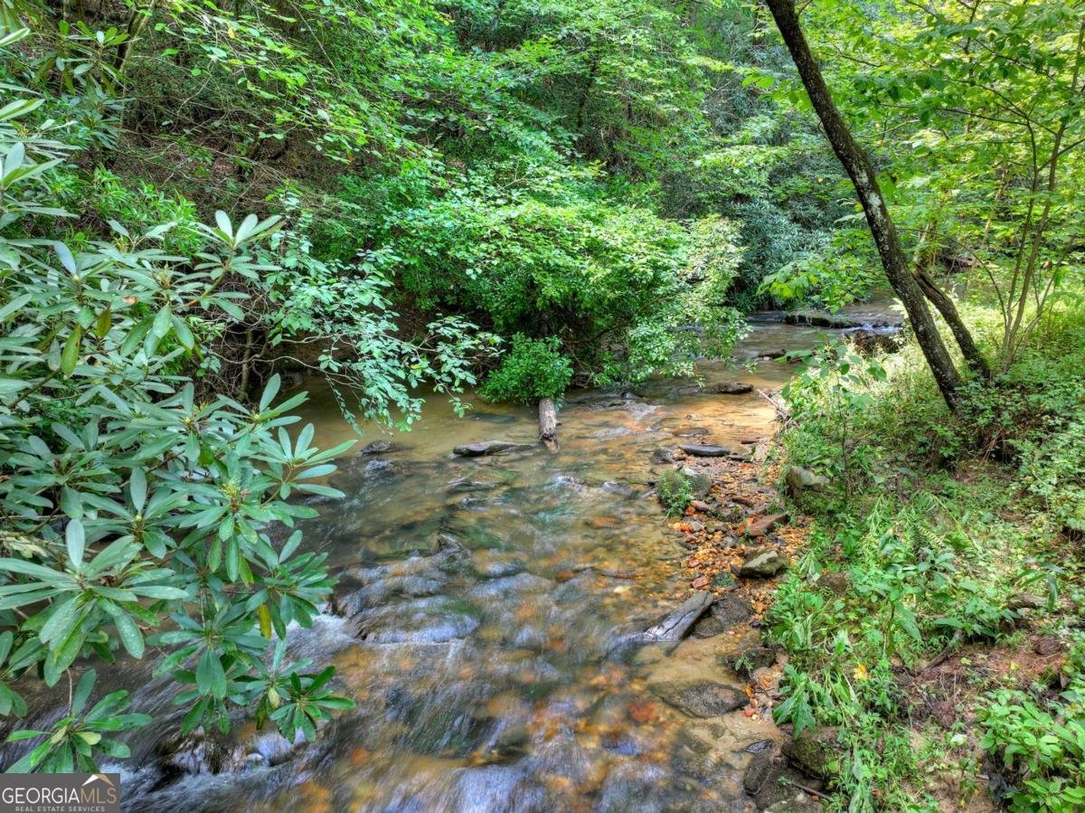 20 Bear Trail Ellijay - Photo 87