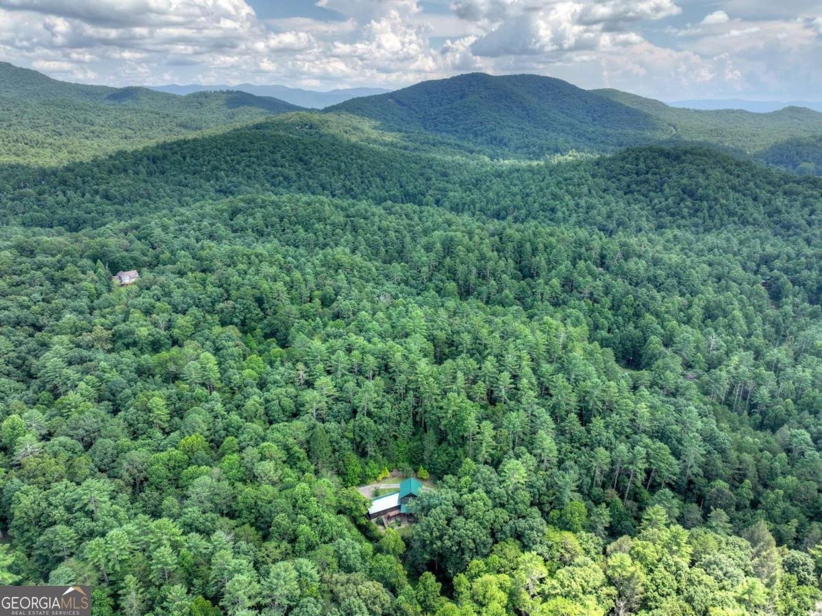20 Bear Trail Ellijay - Photo 91
