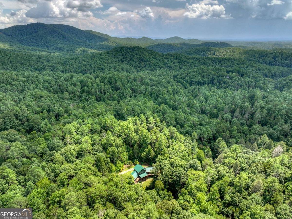 20 Bear Trail Ellijay - Photo 92