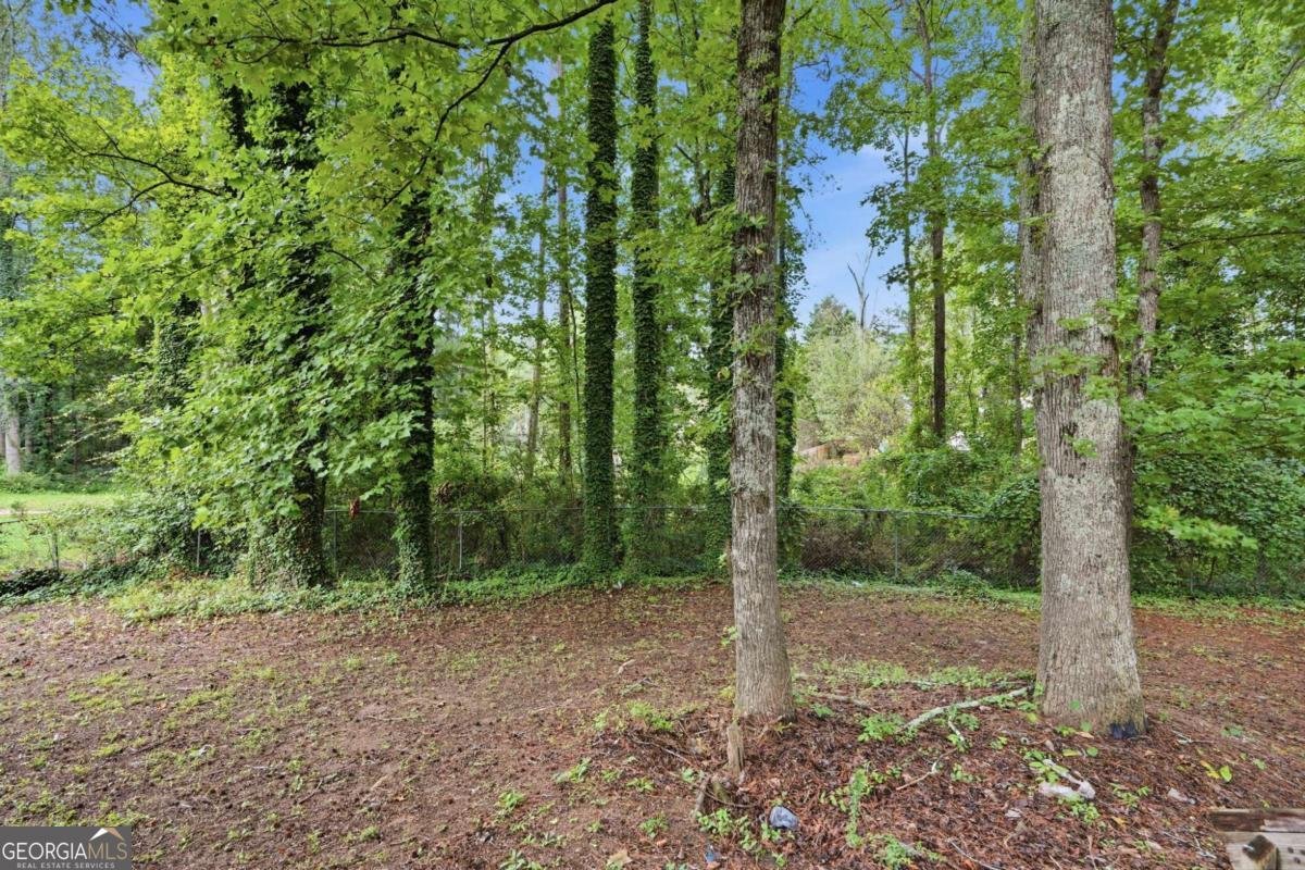 1499 Saint Dunstans Road Lithonia - Photo 36