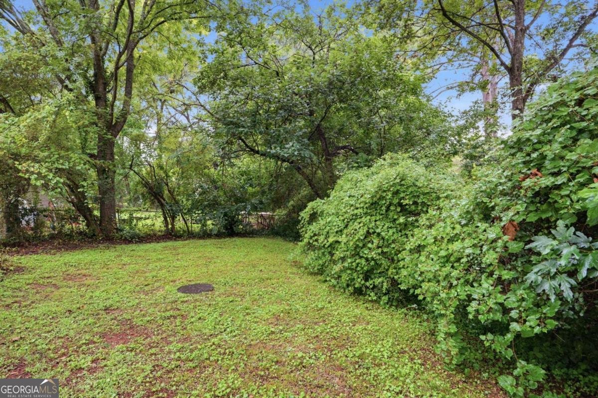 1630 Liberty Valley Decatur - Photo 26
