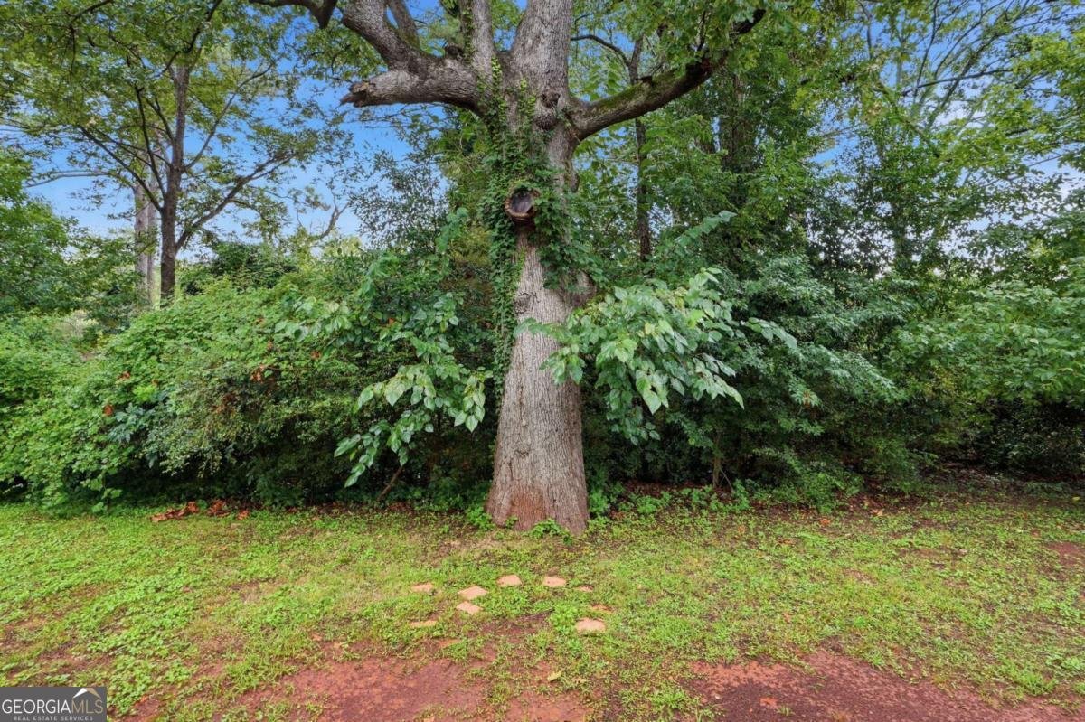 1630 Liberty Valley Decatur - Photo 28