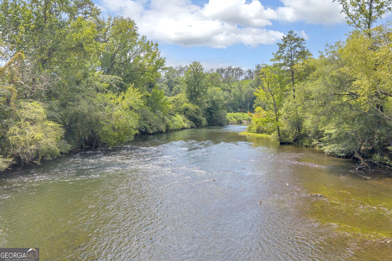 4305 Yonah Dam Road Toccoa - Photo 47