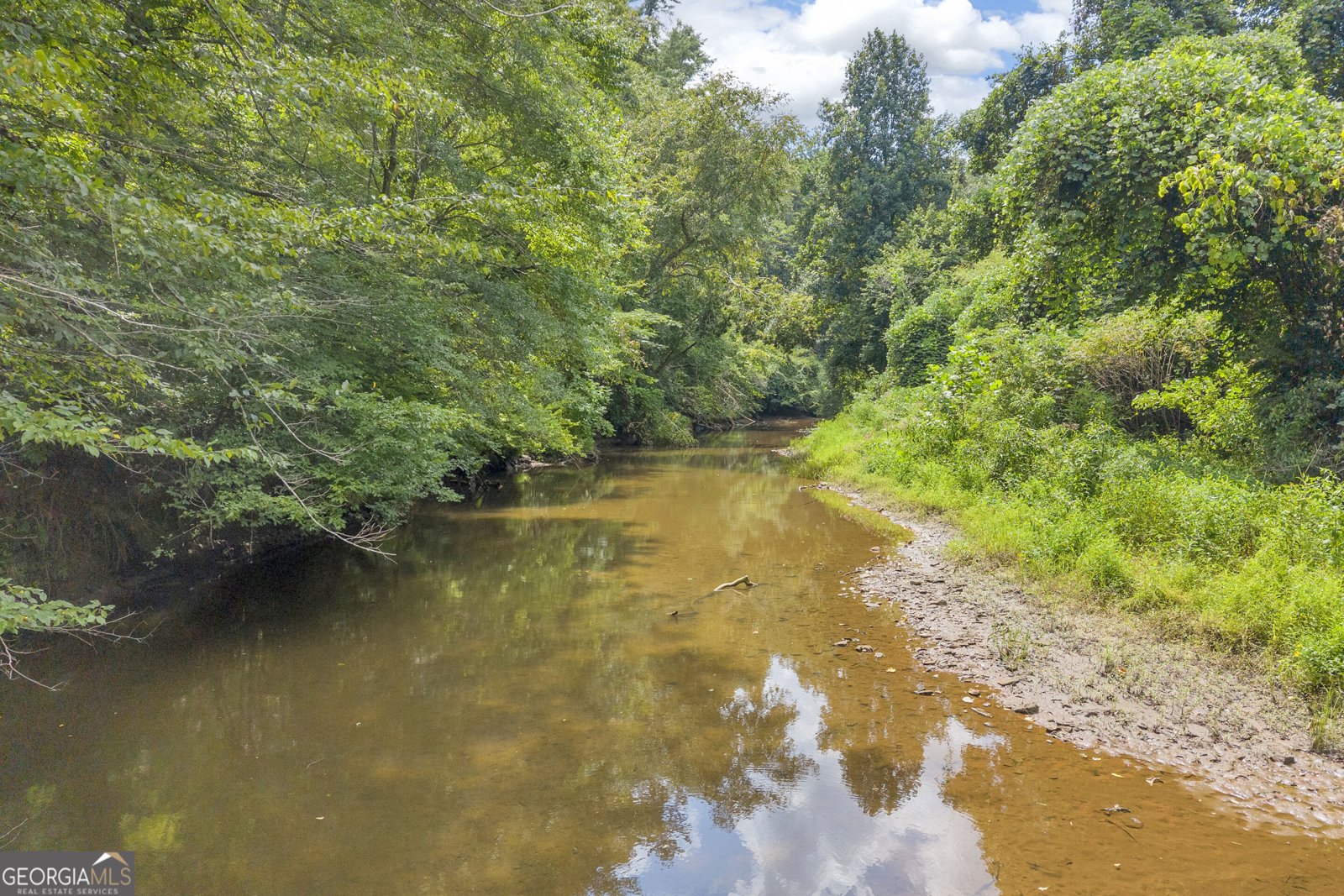 4305 Yonah Dam Road Toccoa - Photo 49