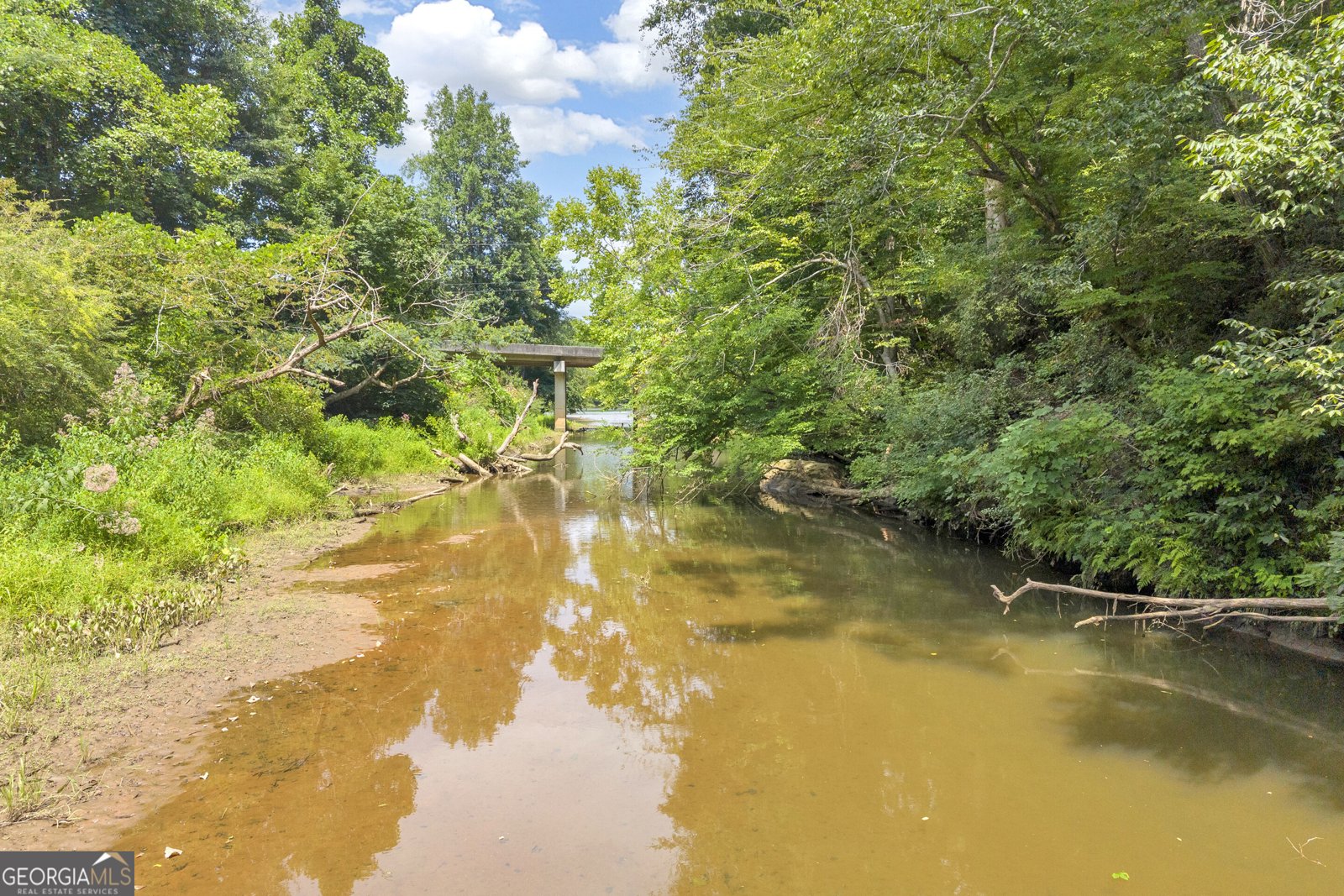 4305 Yonah Dam Road Toccoa - Photo 50