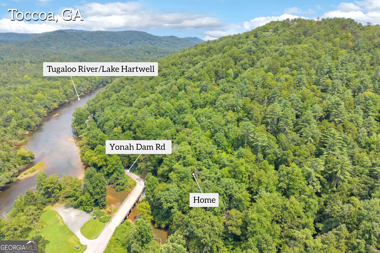 4305 Yonah Dam Road Toccoa - Photo 6