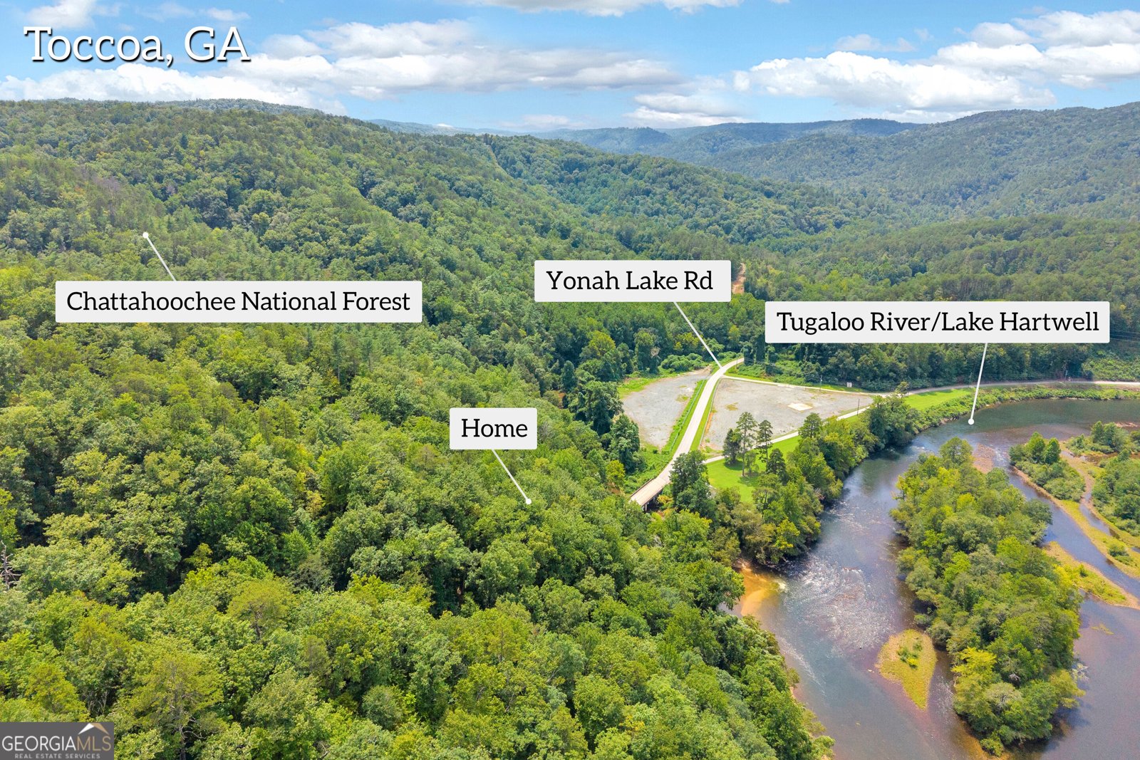 4305 Yonah Dam Road Toccoa - Photo 7