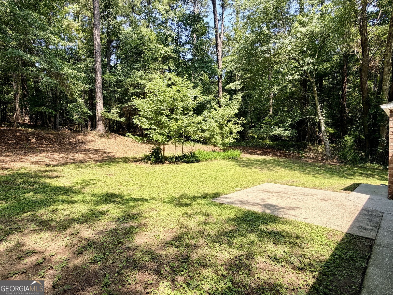 2474 Lucas Drive Conyers - Photo 11