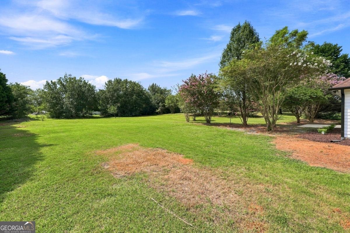 1950 Harvest Way Loganville - Photo 40