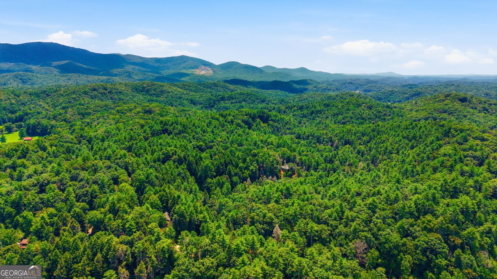 464 Whispering Pine Lane Cherry Log - Photo 43