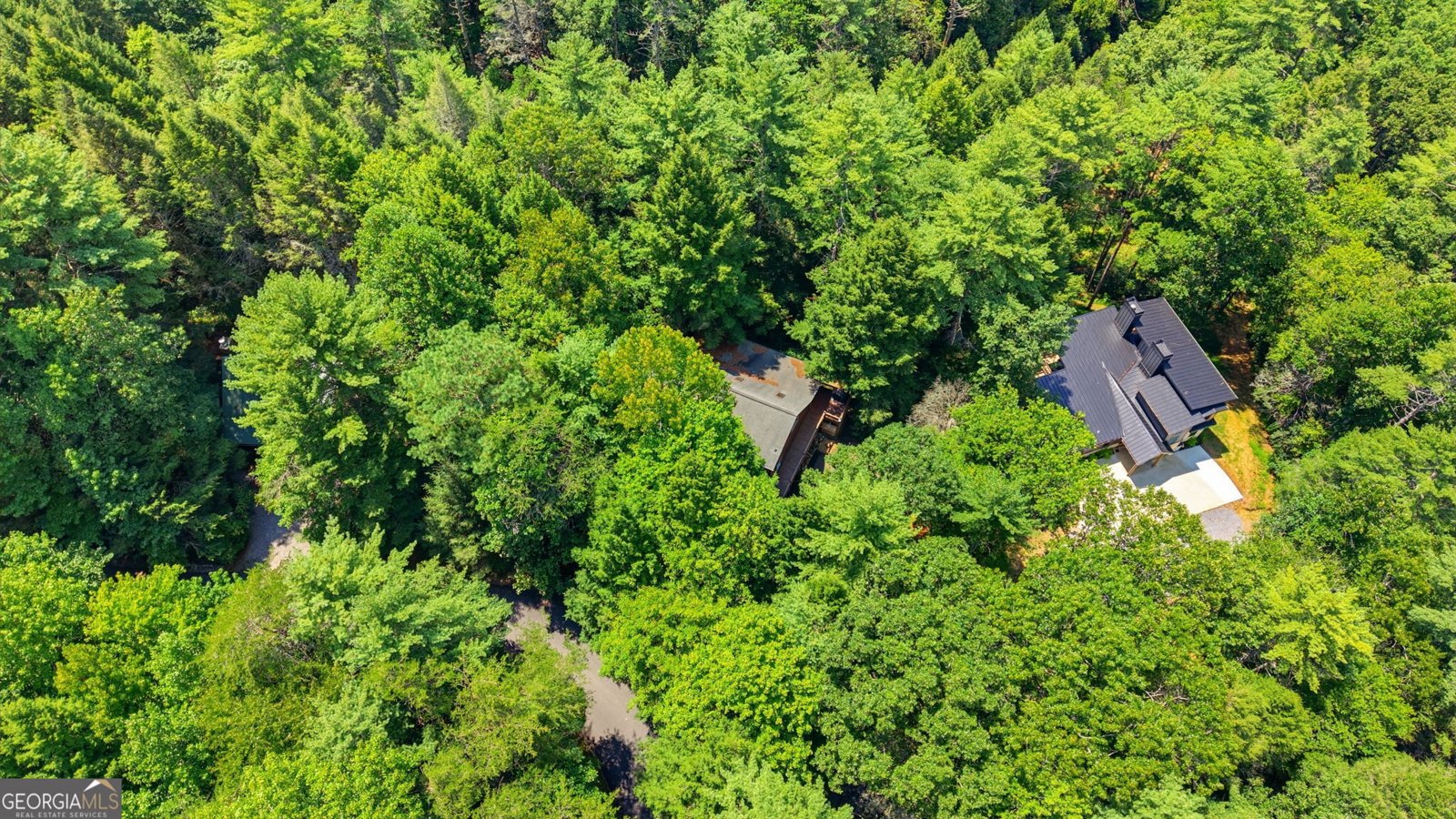 464 Whispering Pine Lane Cherry Log - Photo 45