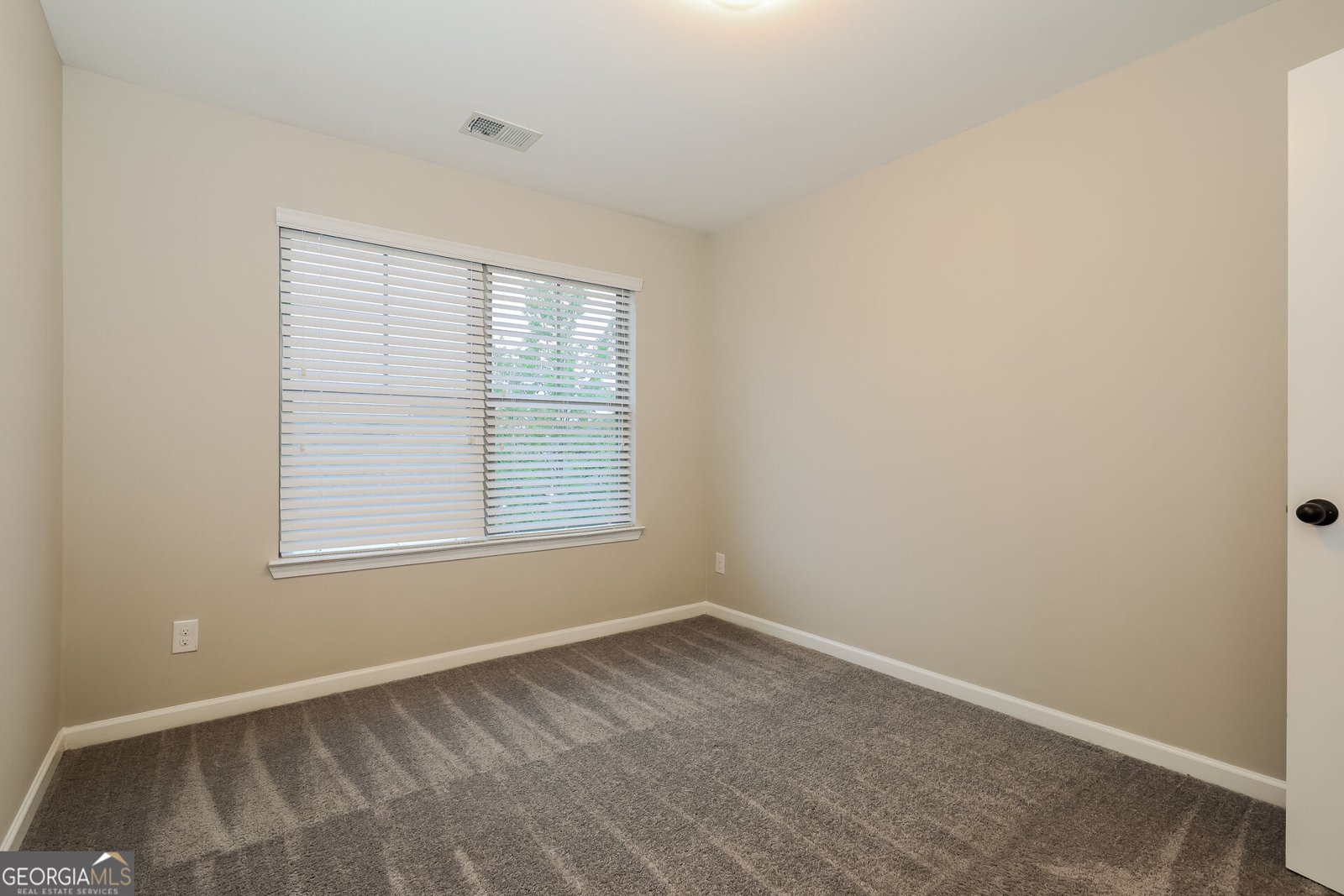 217 Magnaview Drive McDonough - Photo 17