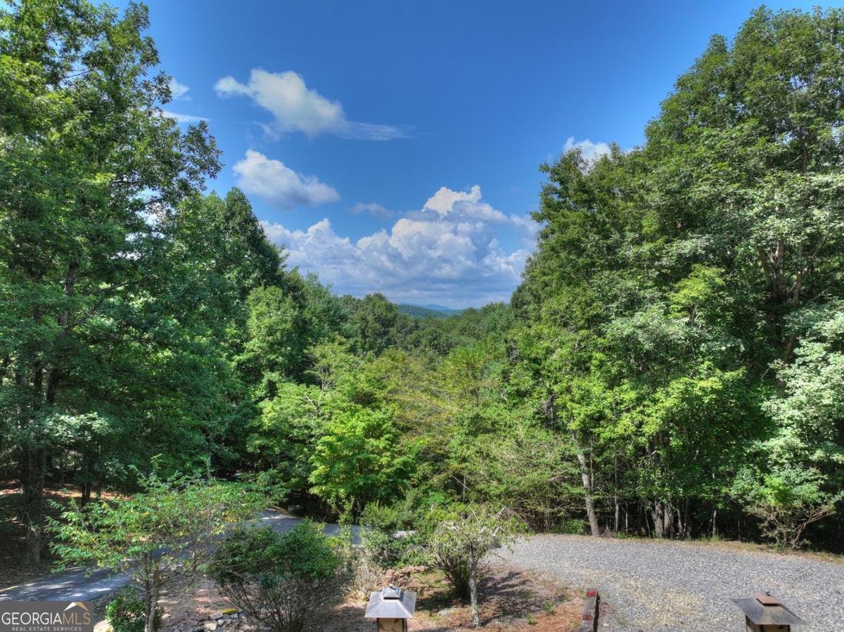 85 Squirrel Chase Morganton - Photo 13