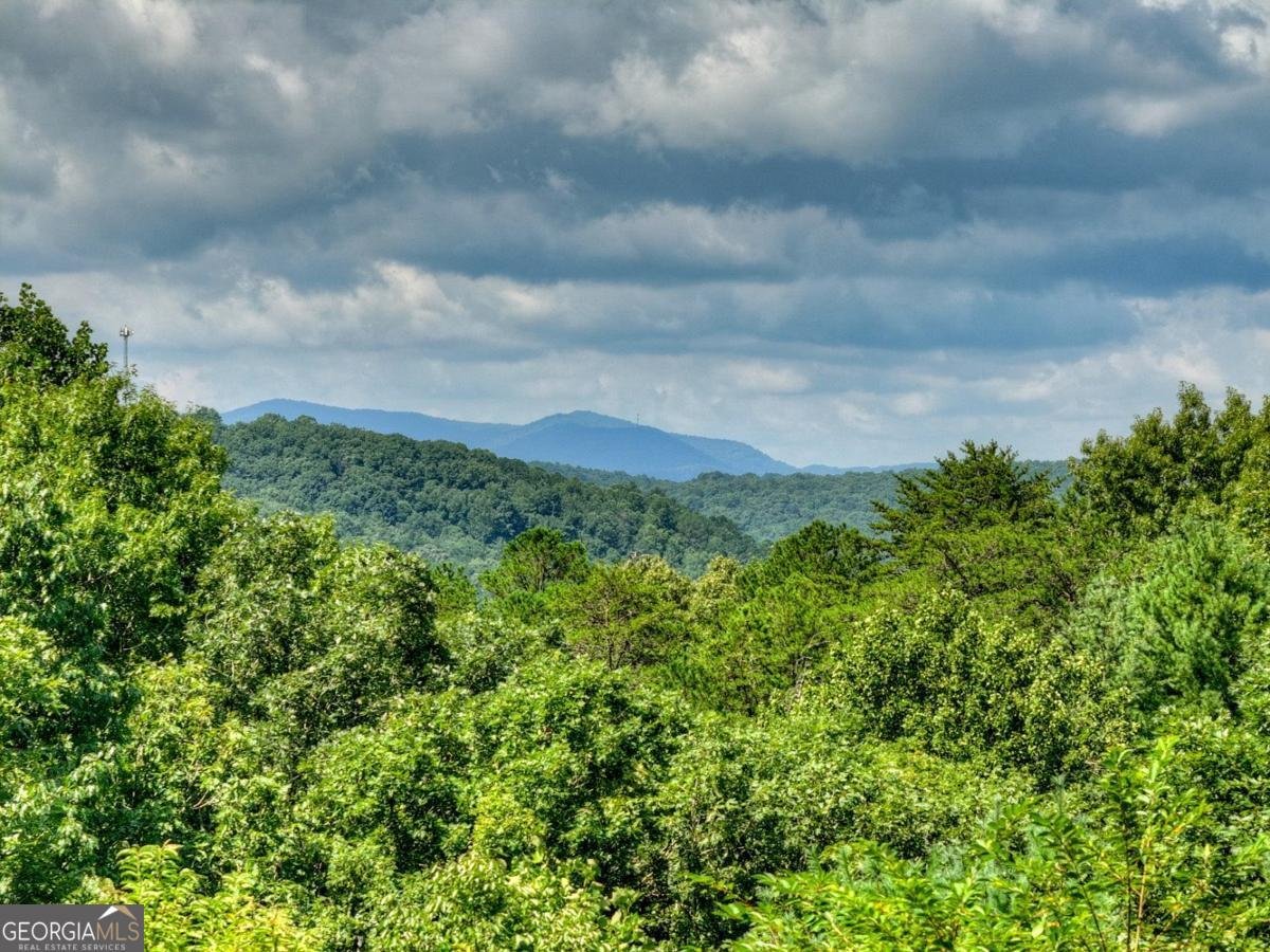85 Squirrel Chase Morganton - Photo 16