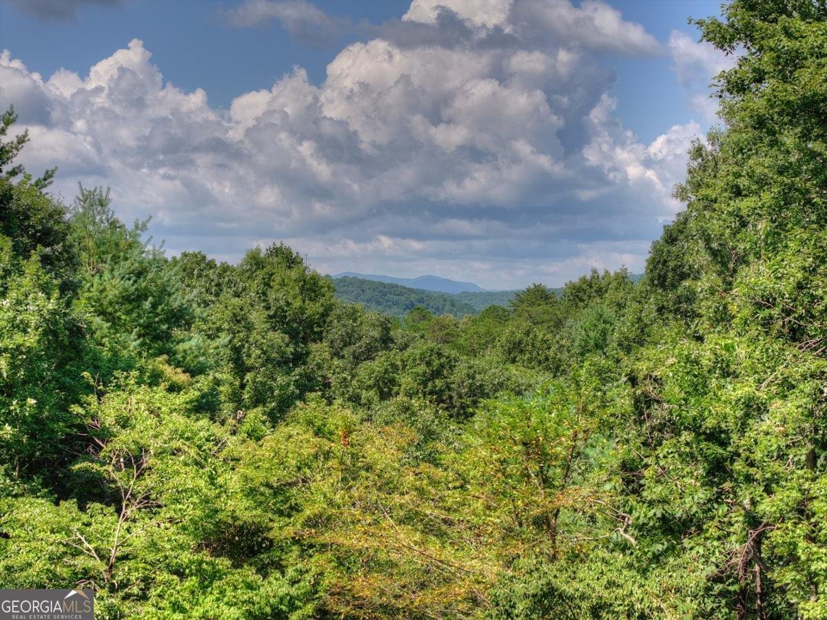 85 Squirrel Chase Morganton - Photo 9