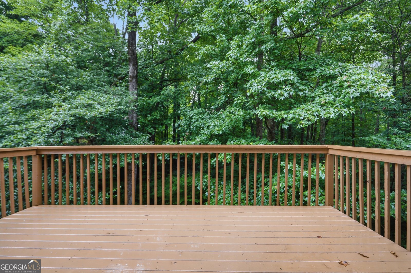 10283 Freehome Highway Canton - Photo 29