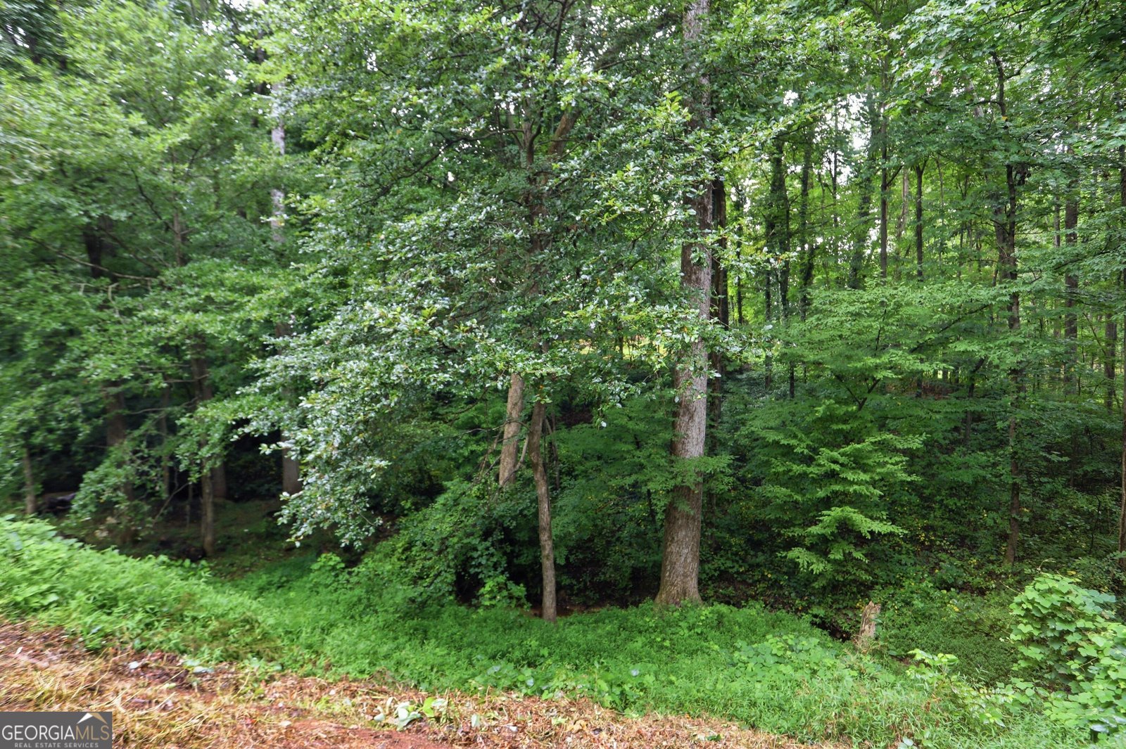 10283 Freehome Highway Canton - Photo 31