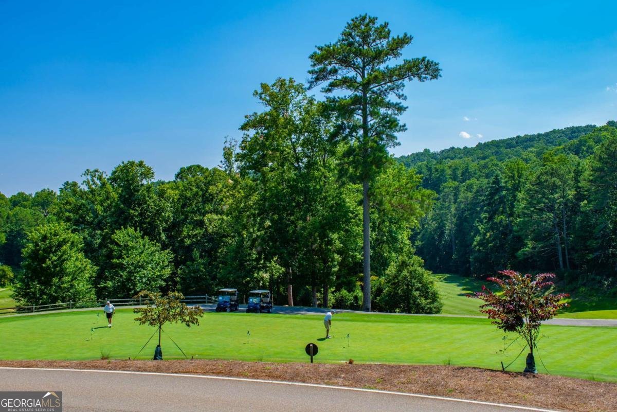 40 Treetopper Lane Jasper - Photo 63