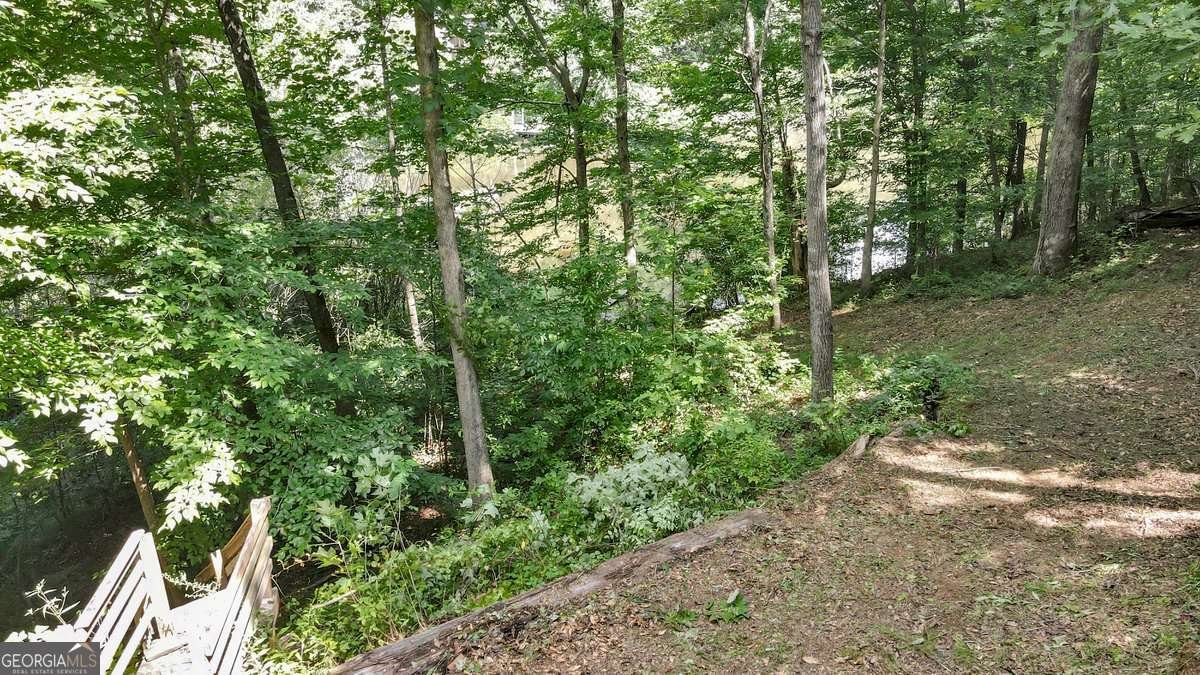 126 Silver Fox Drive Dawsonville - Photo 31