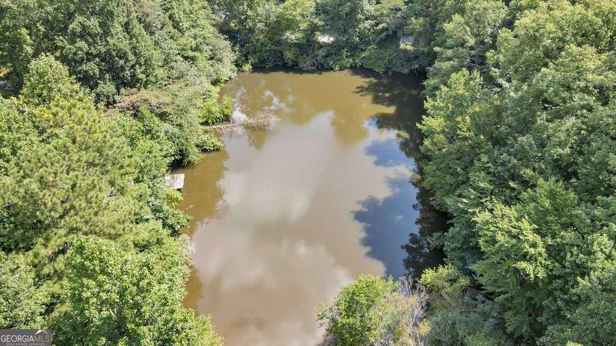 126 Silver Fox Drive Dawsonville - Photo 33