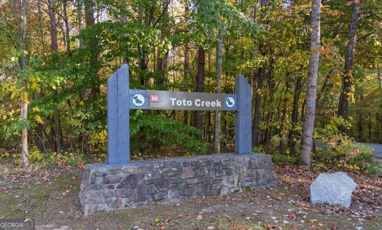 126 Silver Fox Drive Dawsonville - Photo 36