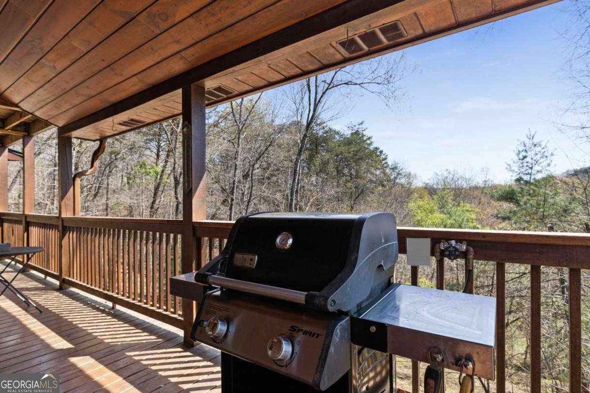 113 Dallas Lane Blue Ridge - Photo 19