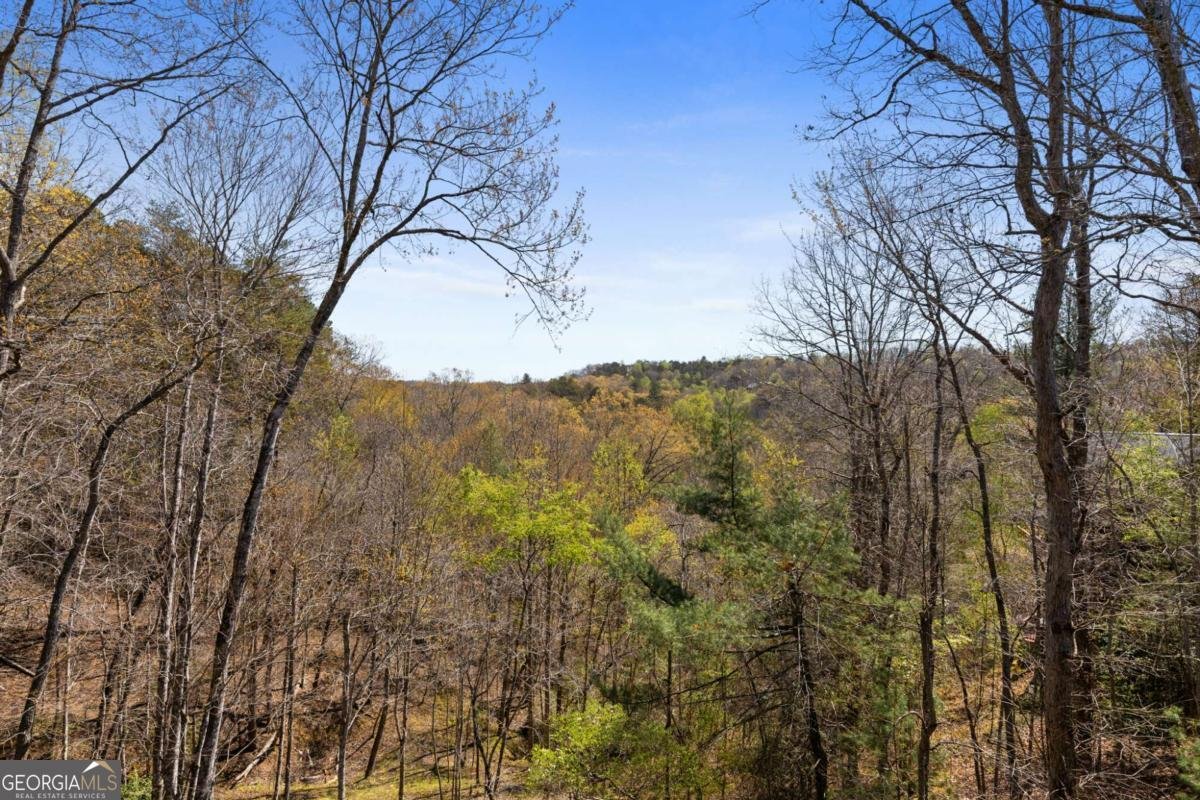 113 Dallas Lane Blue Ridge - Photo 32