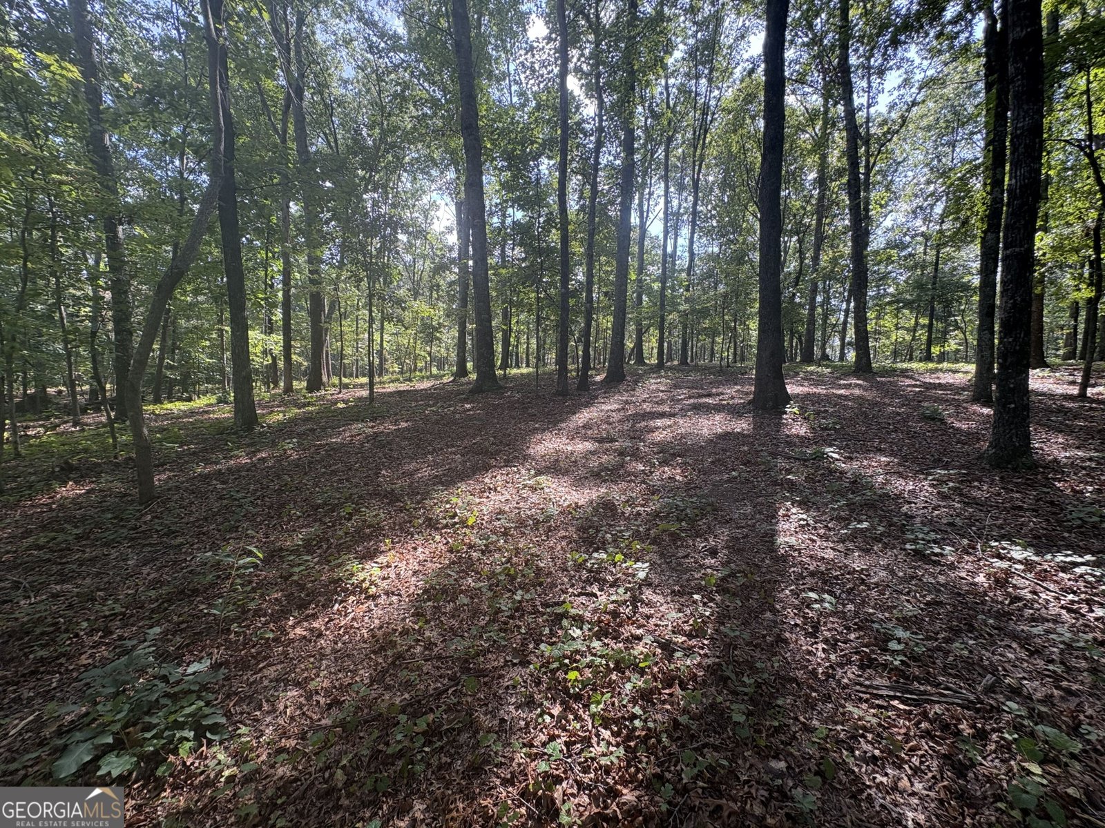 8149 Kelly Bridge Road Dawsonville - Photo 50
