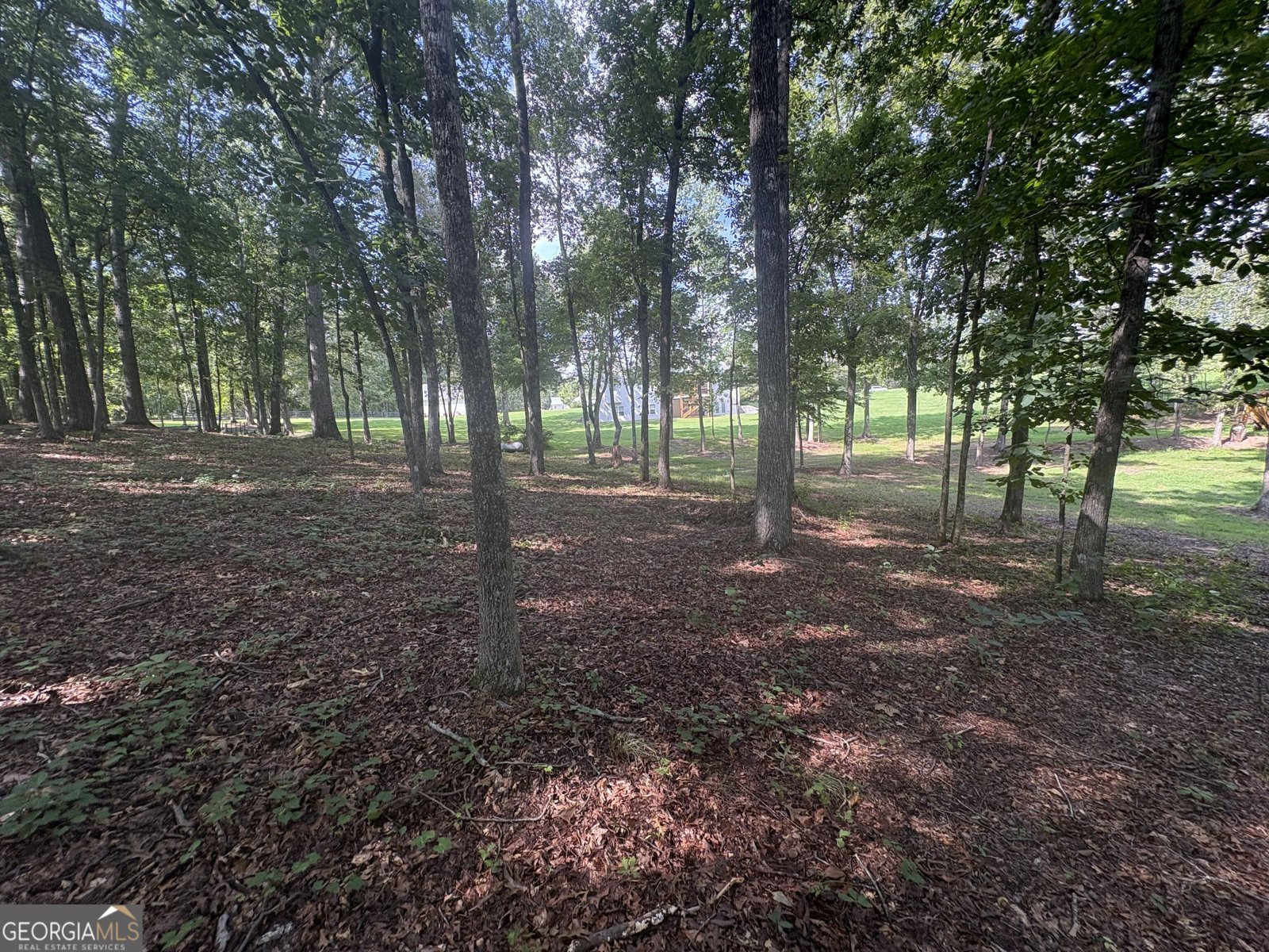 8149 Kelly Bridge Road Dawsonville - Photo 51