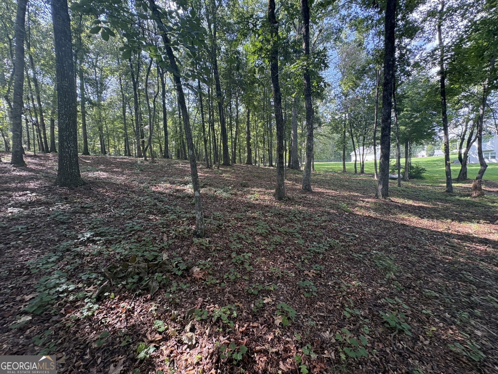 8149 Kelly Bridge Road Dawsonville - Photo 52