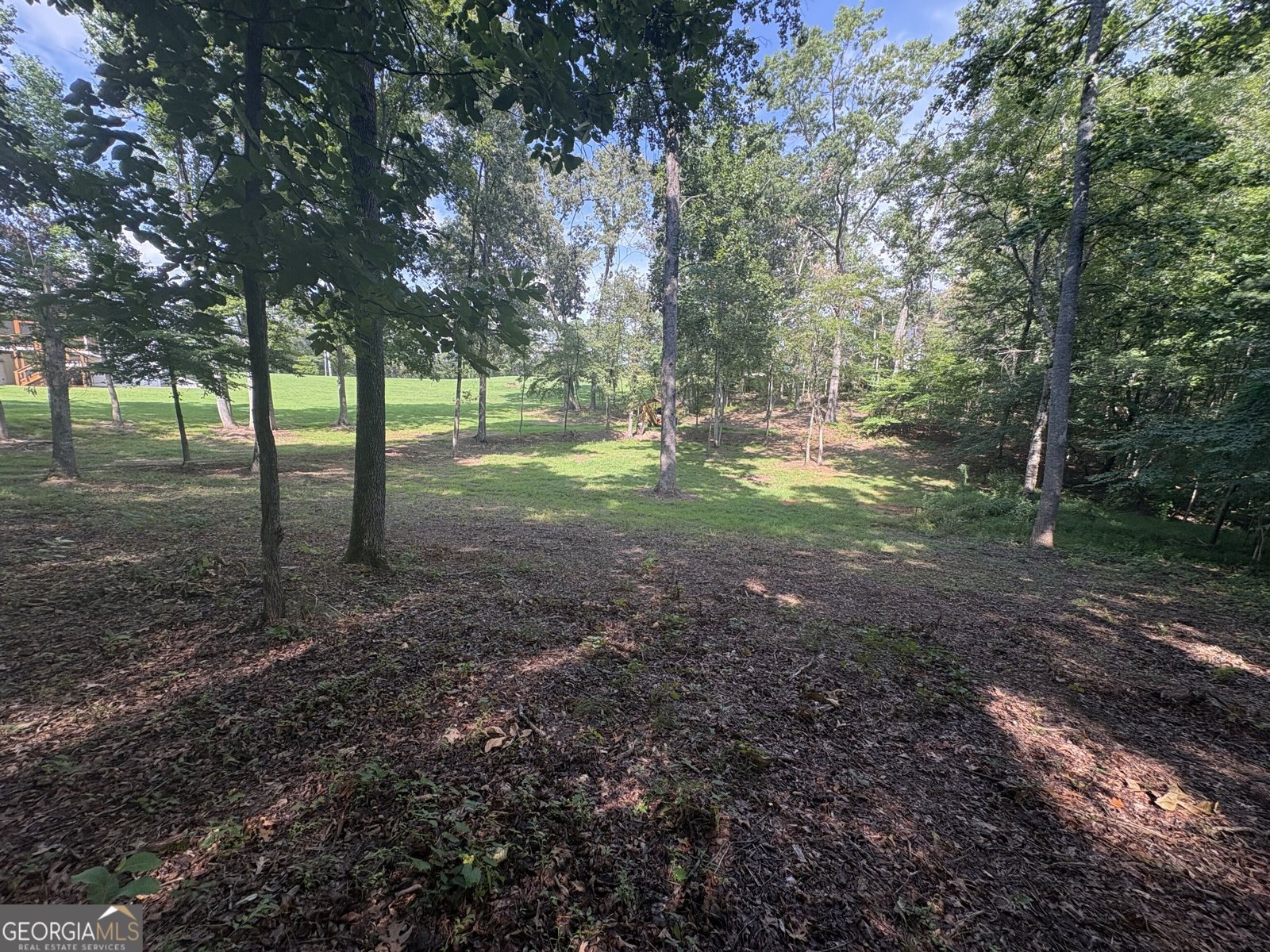 8149 Kelly Bridge Road Dawsonville - Photo 53