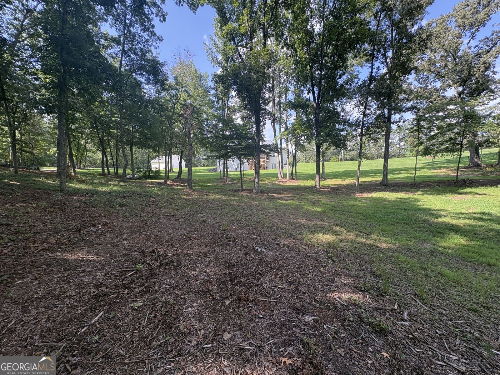 8149 Kelly Bridge Road Dawsonville - Photo 54