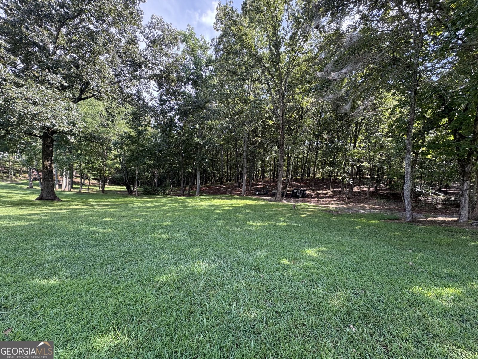 8149 Kelly Bridge Road Dawsonville - Photo 62