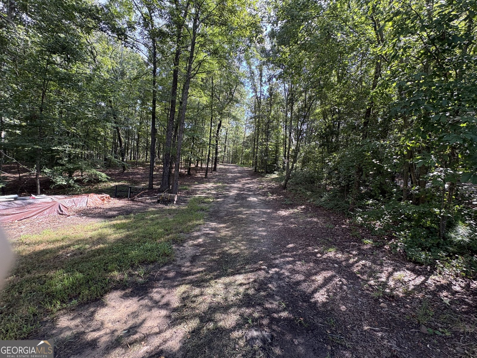 8149 Kelly Bridge Road Dawsonville - Photo 64