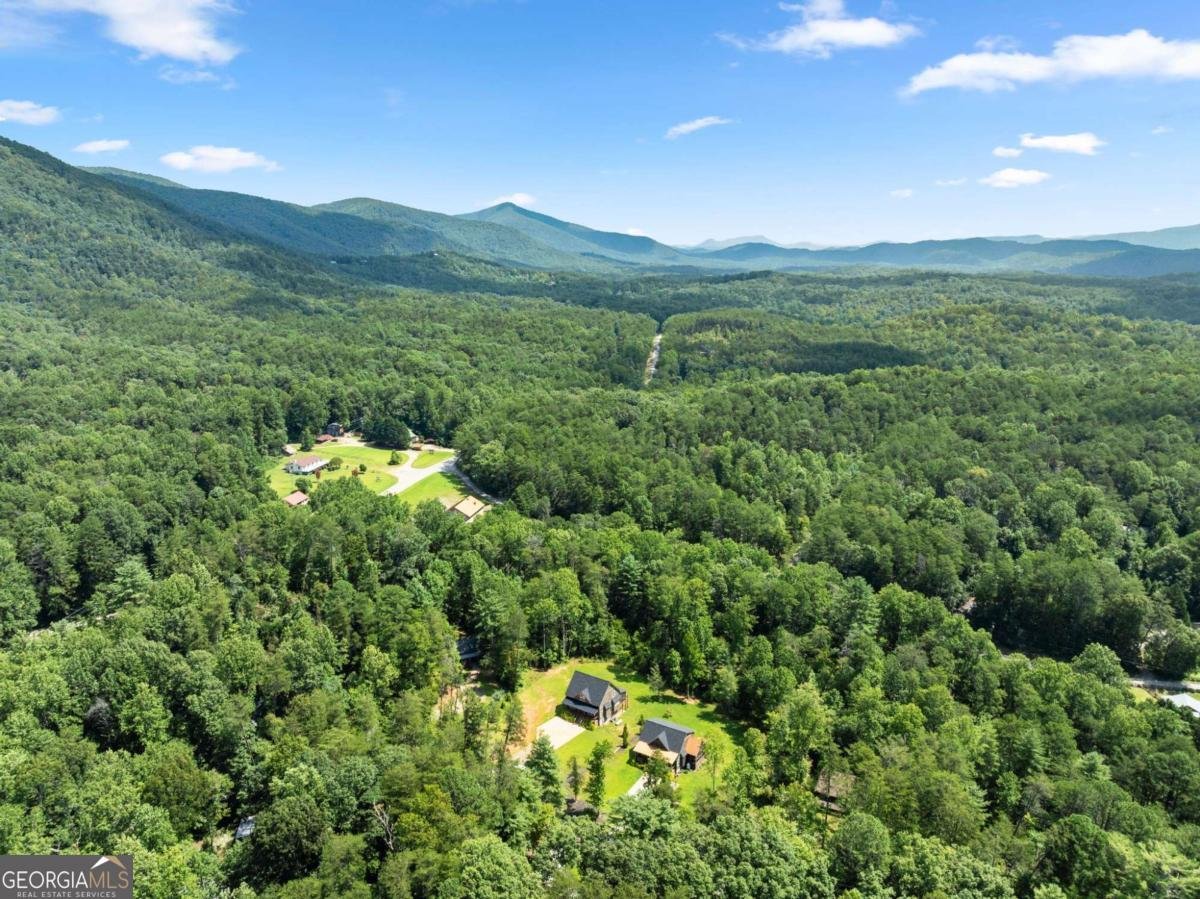 85 Deer Valley Estate Road Sautee Nacoochee - Photo 50