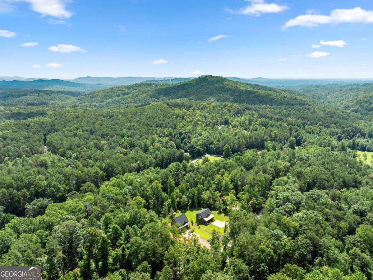 85 Deer Valley Estate Road Sautee Nacoochee - Photo 52