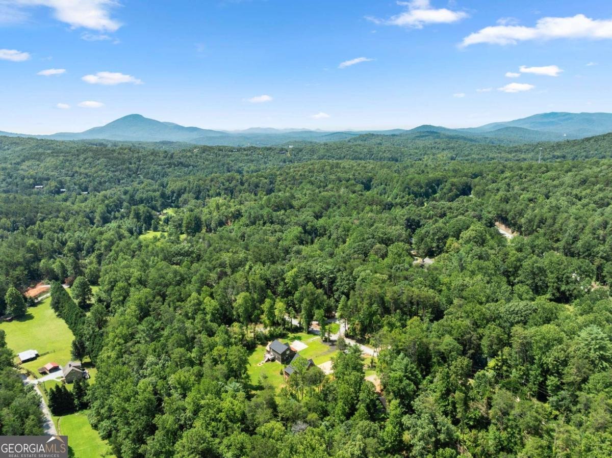 85 Deer Valley Estate Road Sautee Nacoochee - Photo 53