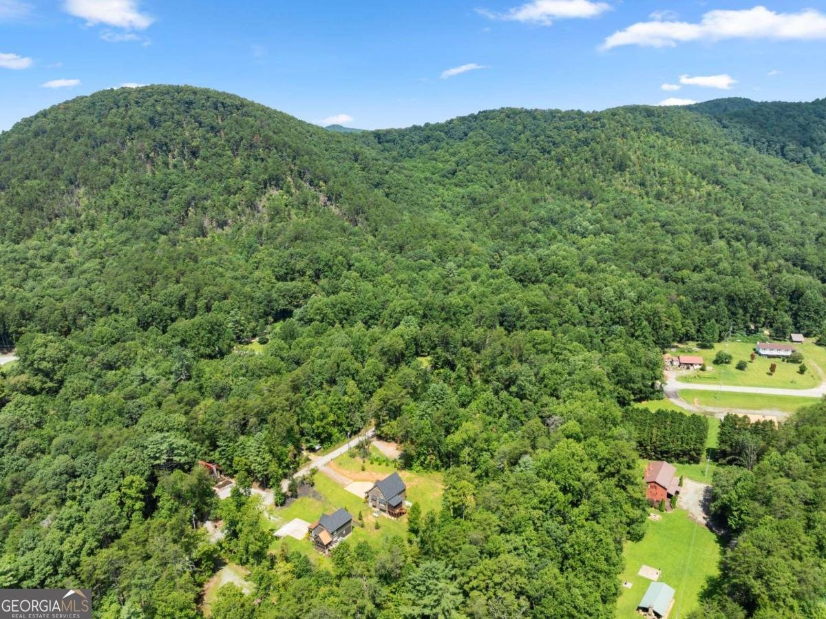 85 Deer Valley Estate Road Sautee Nacoochee - Photo 54