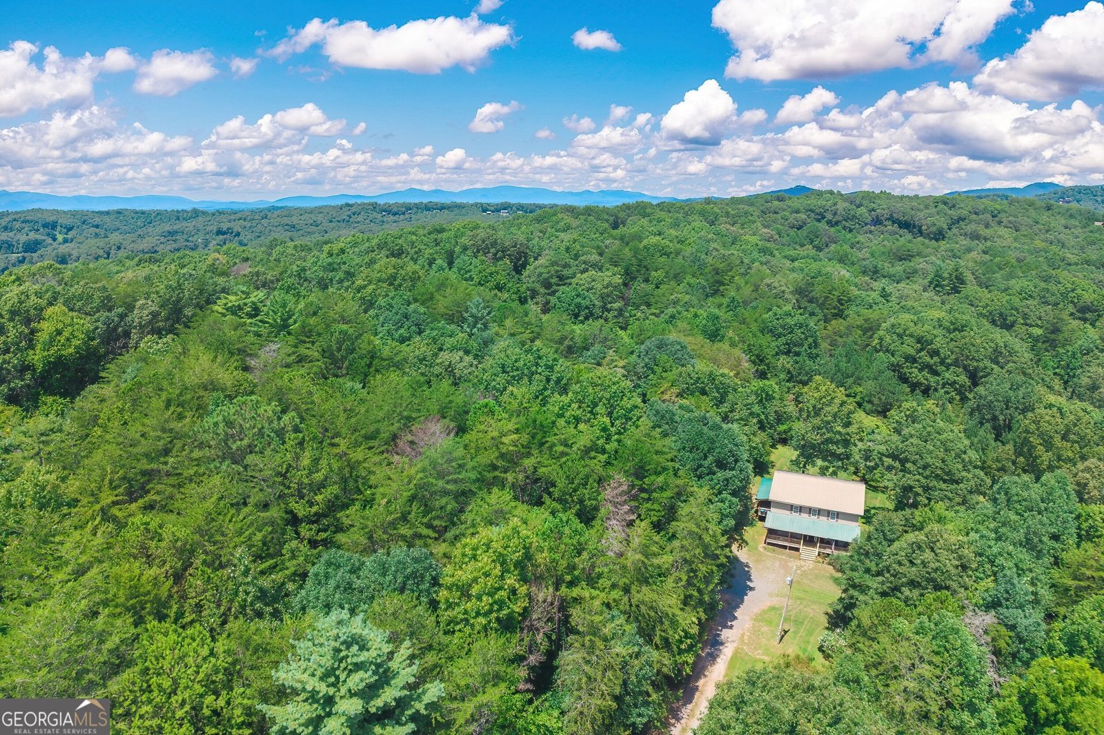 495 Dockery Lane Mineral Bluff - Photo 12