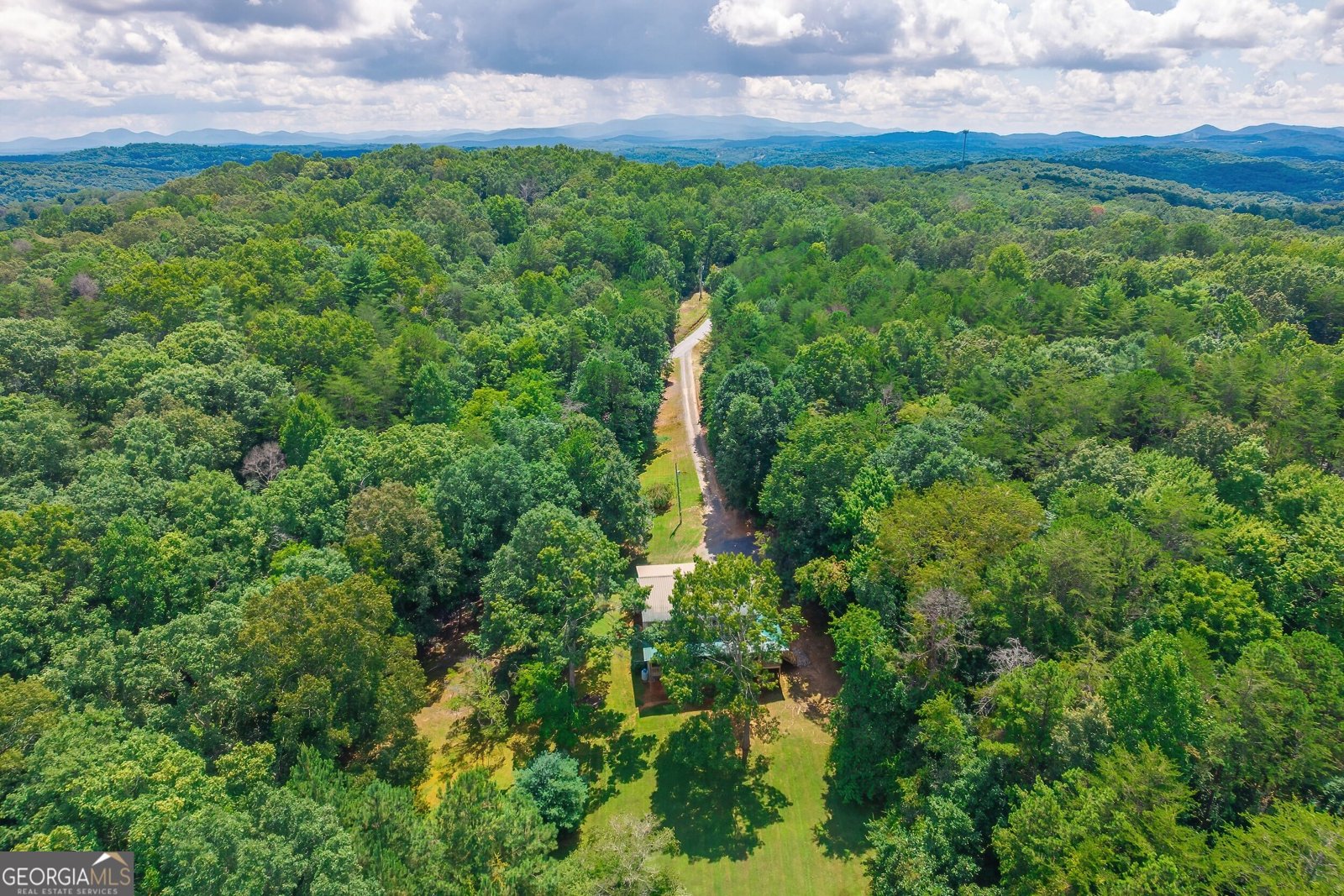 495 Dockery Lane Mineral Bluff - Photo 47