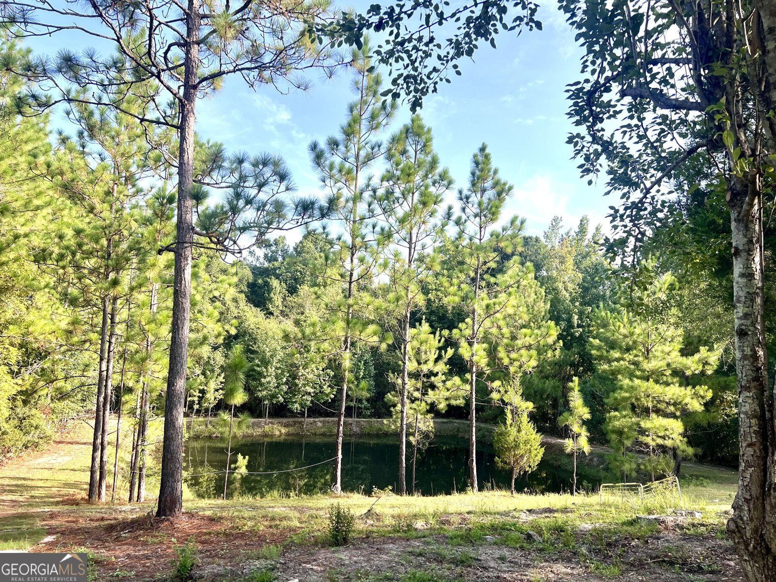 85 Shady Oaks Road Eastman - Photo 11