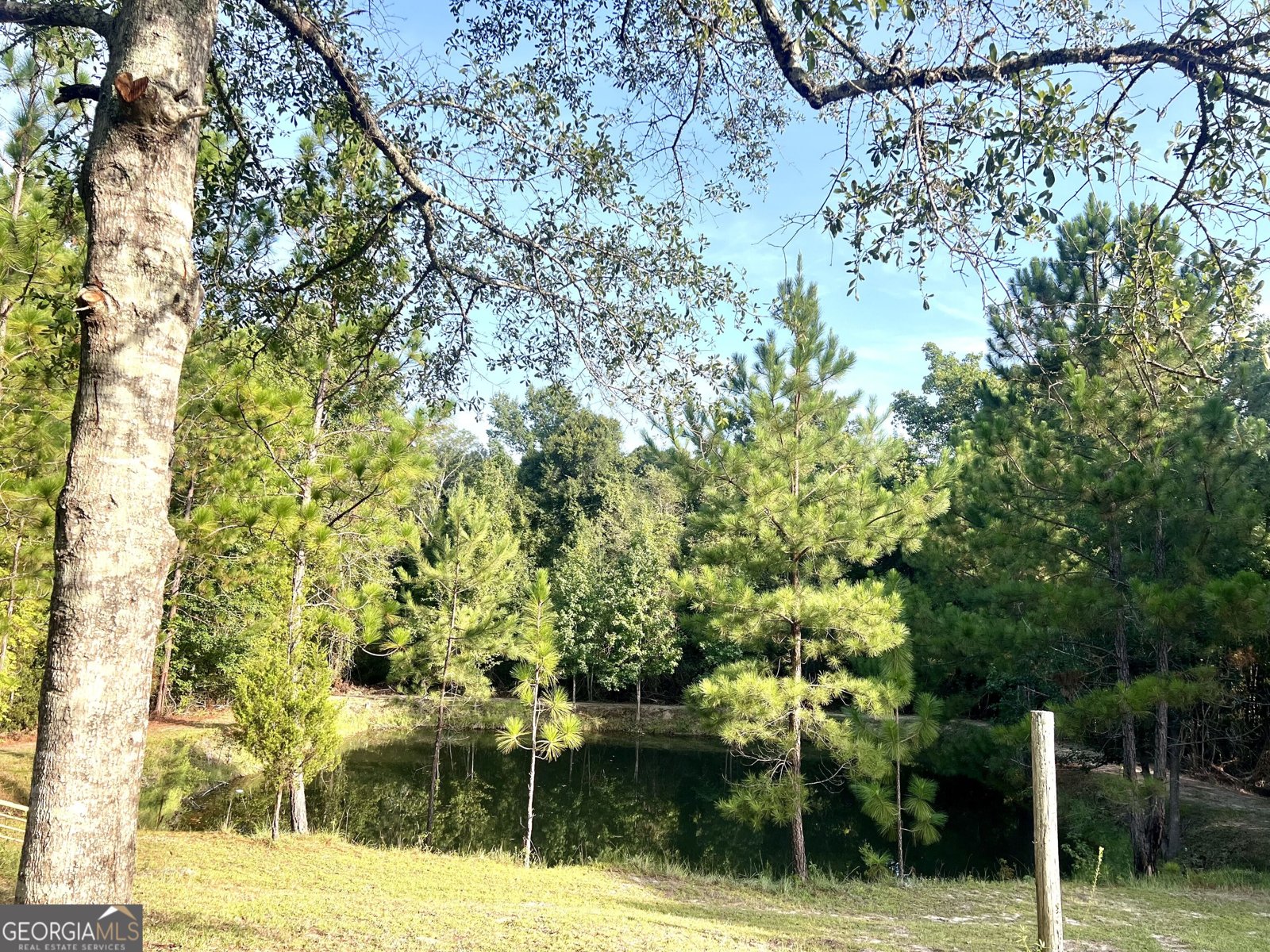 85 Shady Oaks Road Eastman - Photo 9