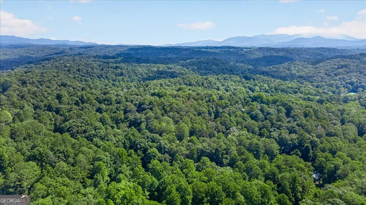 190 26th Street Ellijay - Photo 26