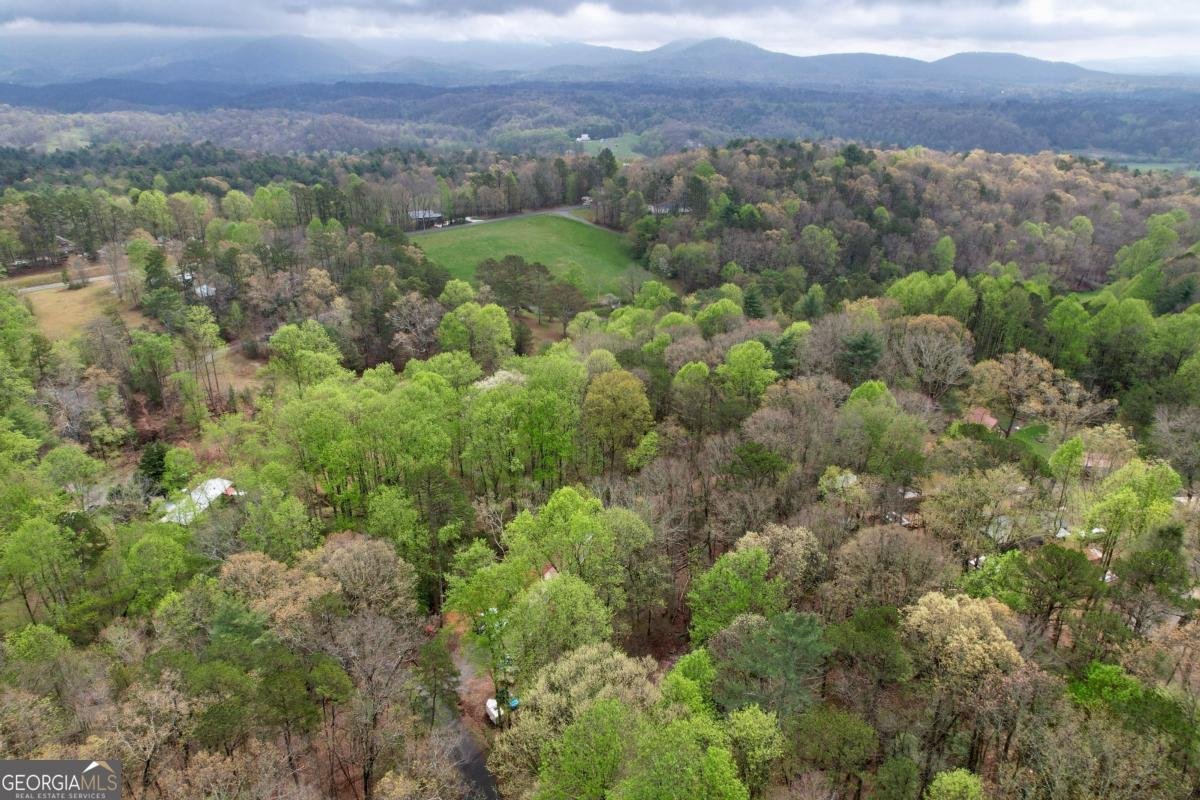 257 Pen Drive Ellijay - Photo 30