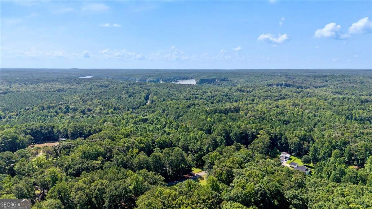 32 Watkins Road Newnan - Photo 49