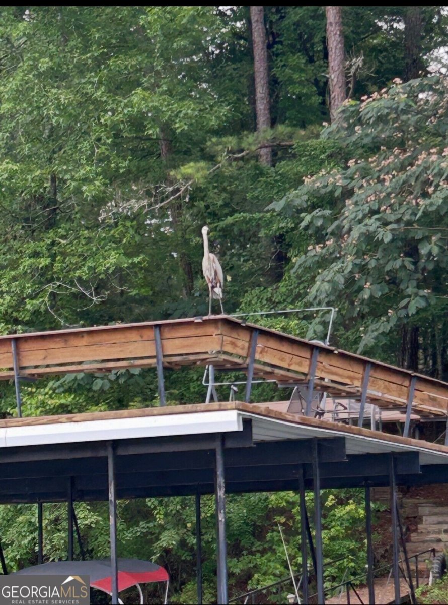 135 Marina Ct Canton - Photo 52
