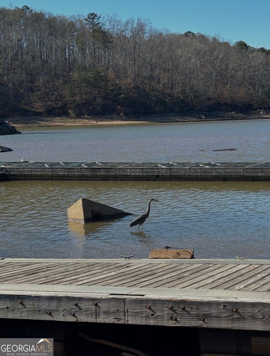 135 Marina Ct Canton - Photo 53
