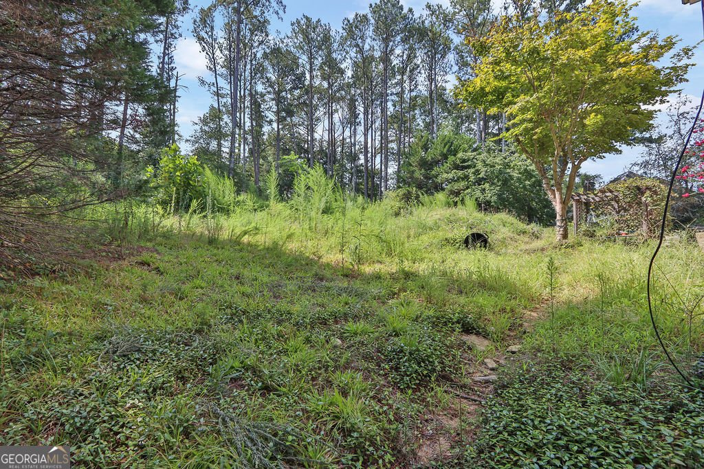 1530 Timberline Trace Snellville - Photo 41